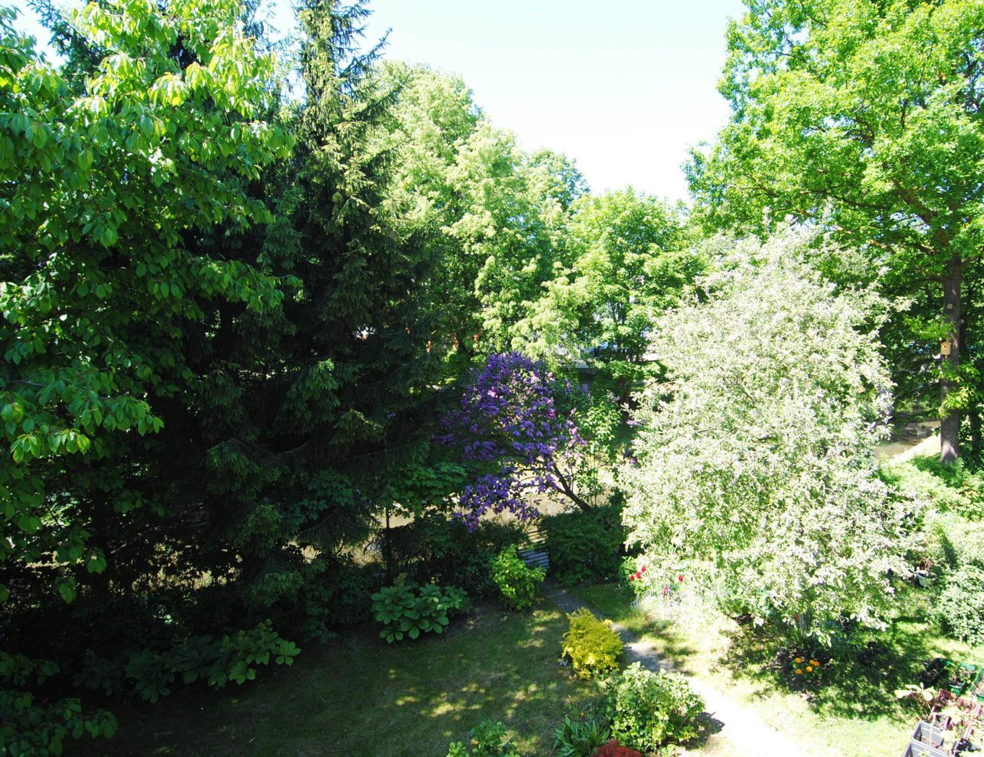 Vila Pri Rouzes Palanga Habitación foto